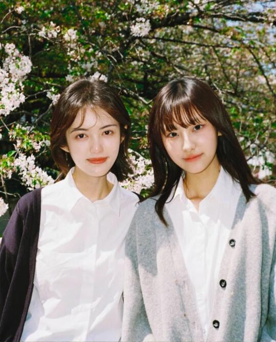 樱花树下的我们🎞️
