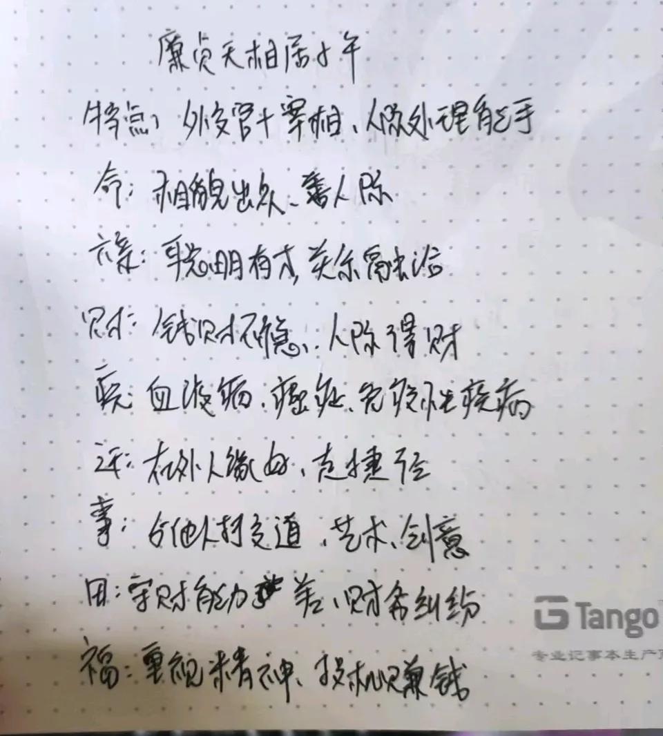 廉贞天相在十二宫，外交官加上宰相的角色，人际关系处理的能手。在命宫，相貌出众，善