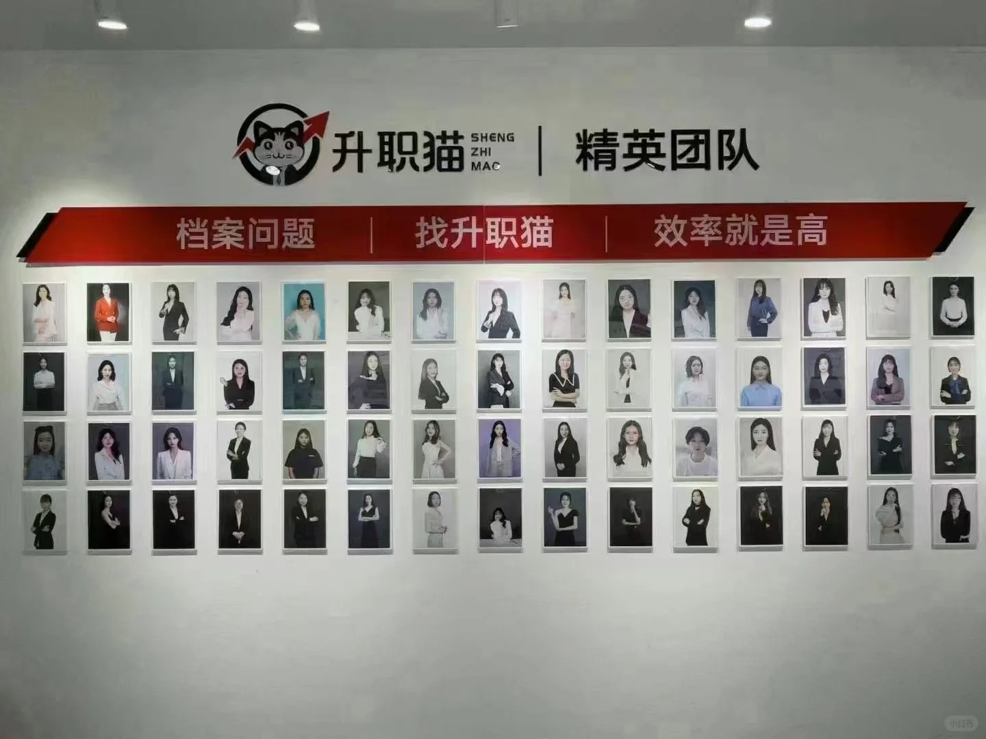 找升职猫🉑️享受：专业顾问二对一专属服