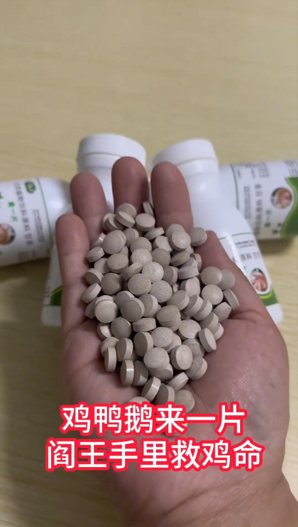 都在喂这一片，一年四季没烦恼