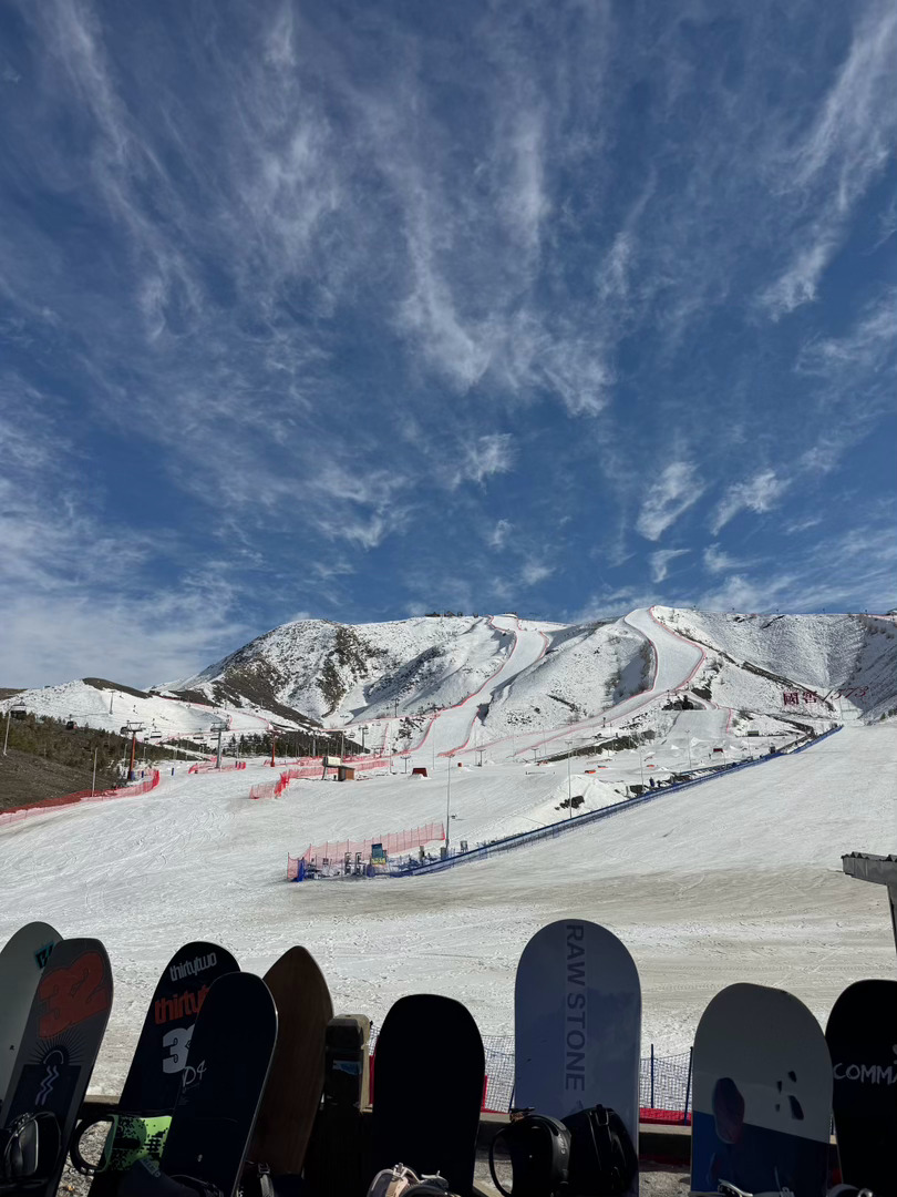 新疆拜拜   去哪里都会带着你们的🐱🐶 阿勒泰