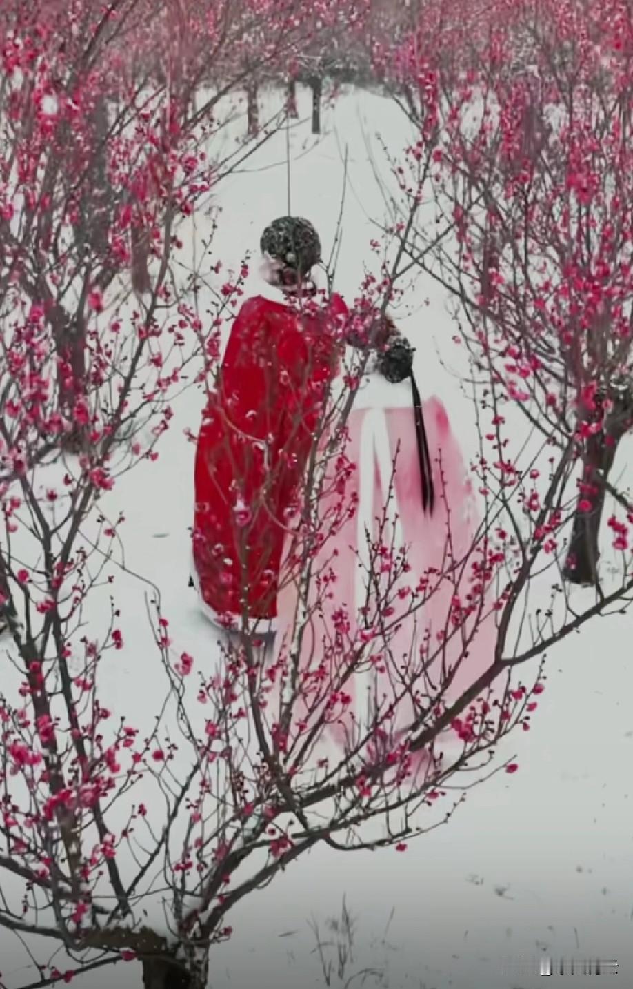 初雪至，万物静。
雪是天空写给大地的诗，
一片片，一簇簇，
轻盈而纯粹。

远山