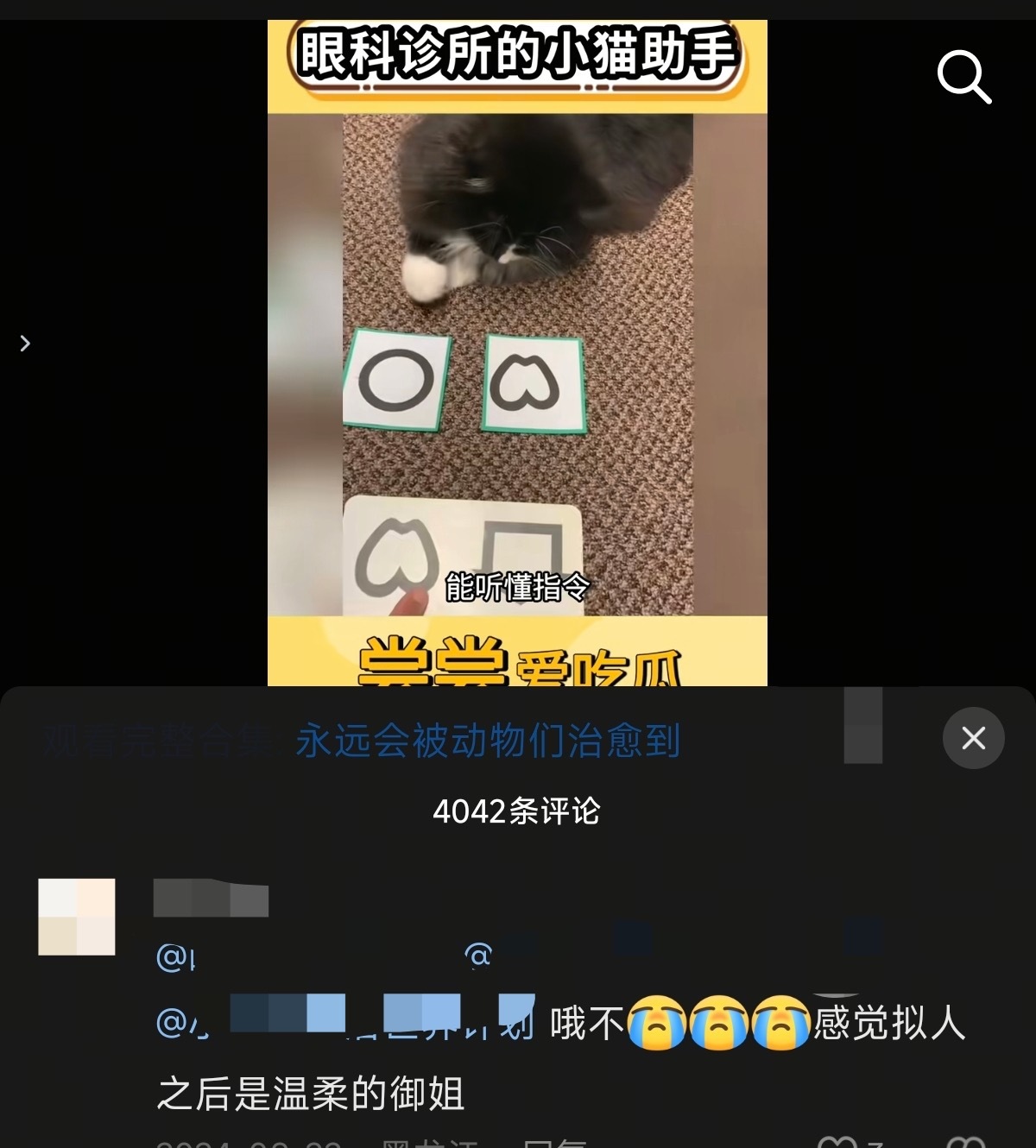 🙄🙄🙄放过小猫吧 