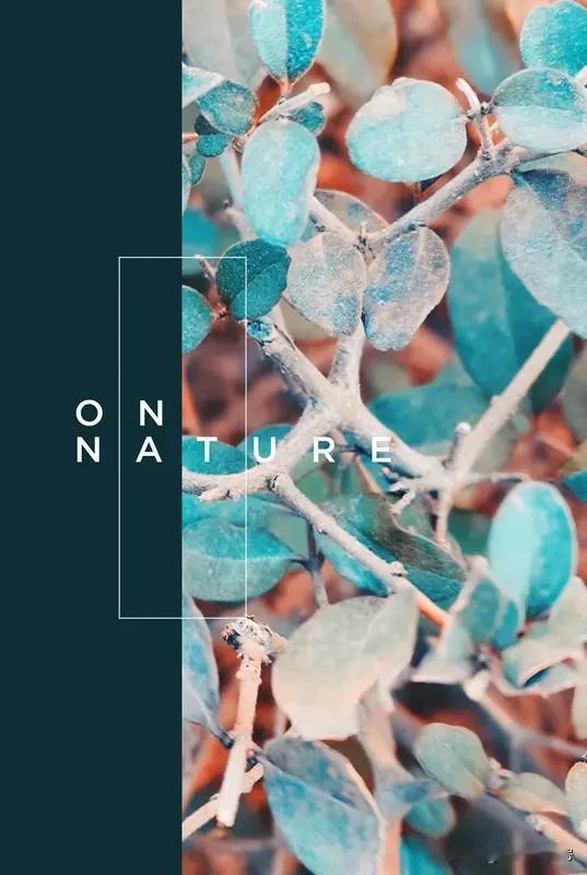 生命的本质是什么？这问题困扰人类许久。传统观点认为，生命有新陈代谢、繁殖等特征，