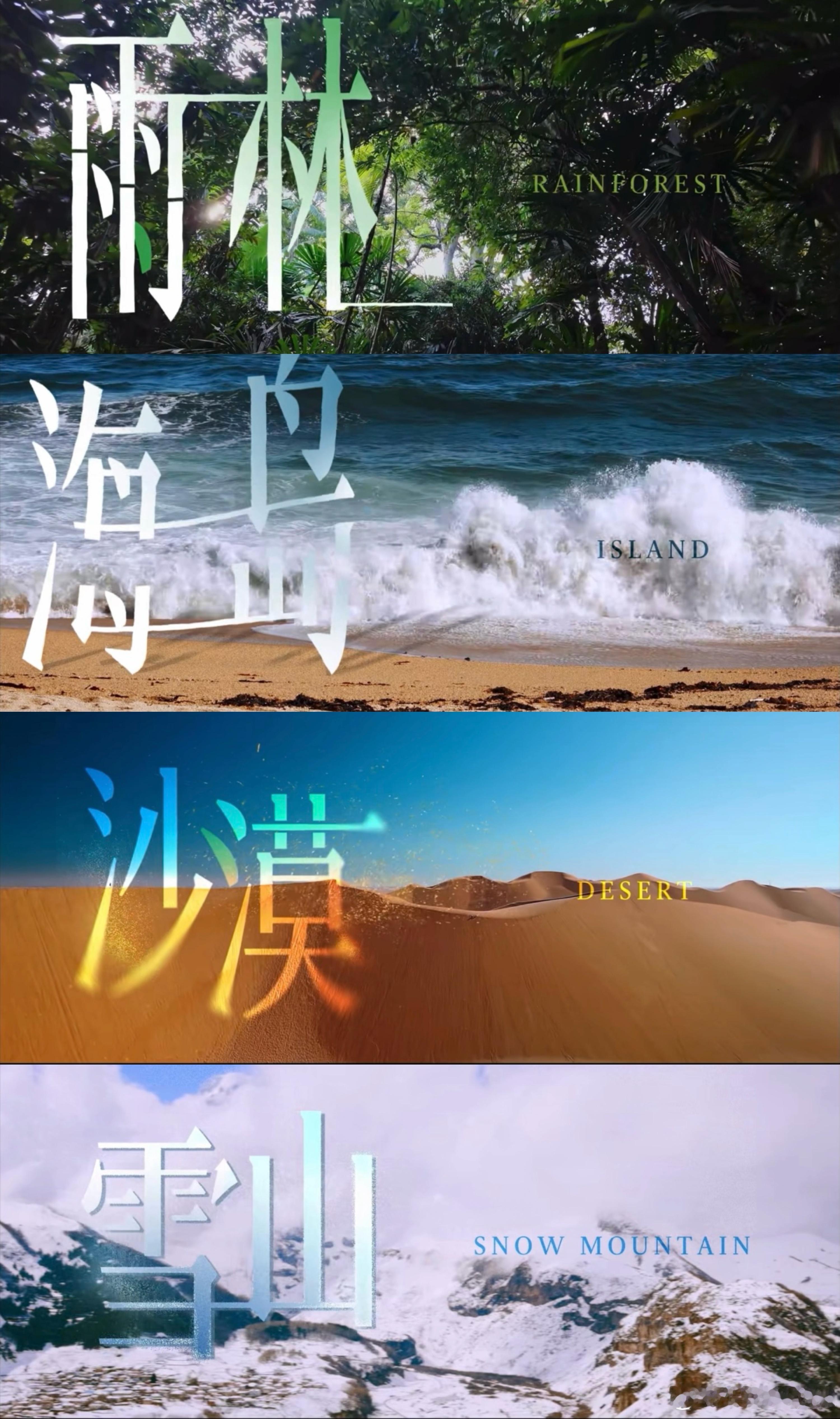 尹正徐志胜做了一档花少🪵爱奇艺上新户外成长计划，一静一动组合太绝，尹正氛围感绝