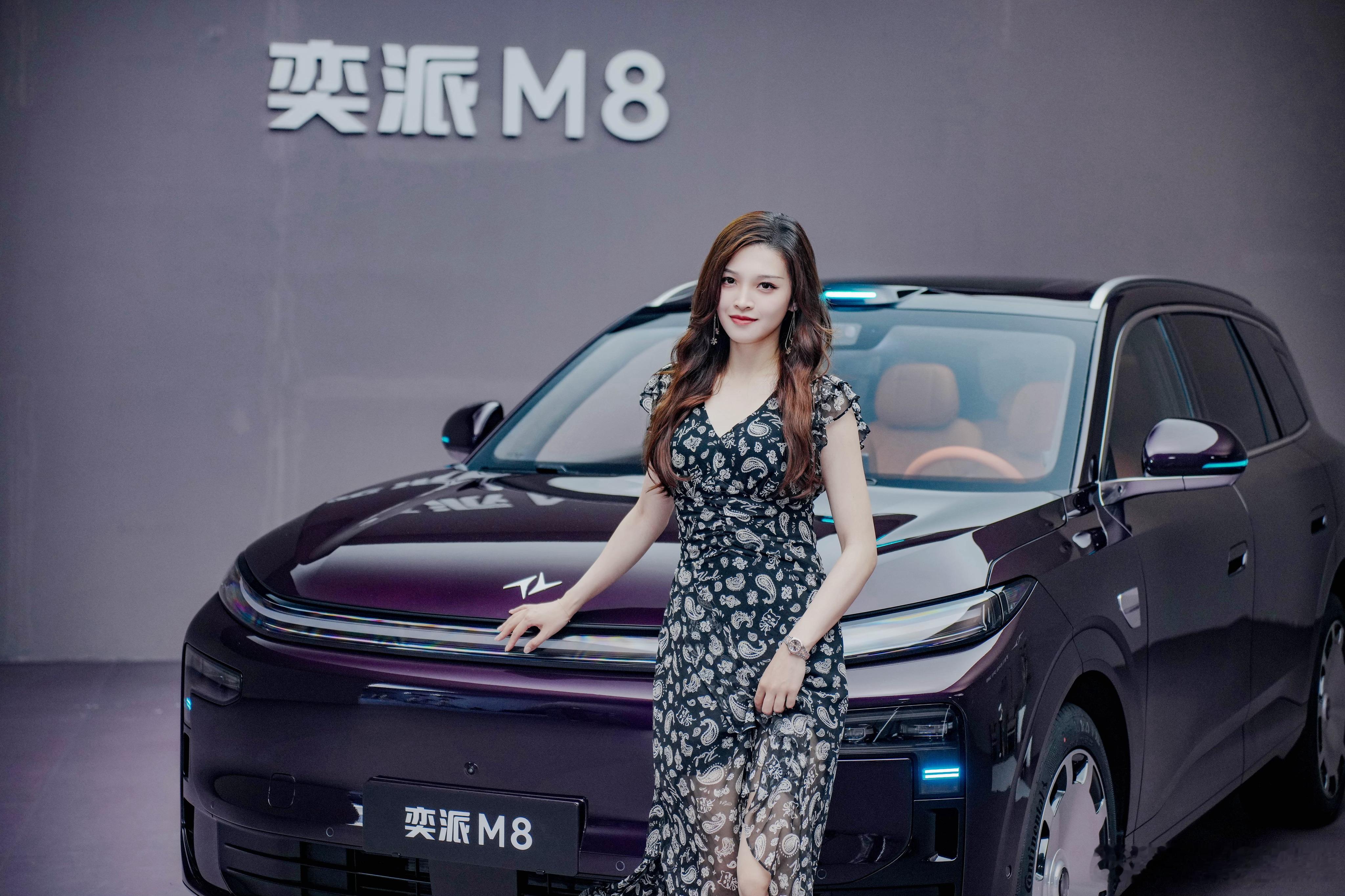 东风奕派心血之作 奕派M8奕派M8华派黄金标准大六座
