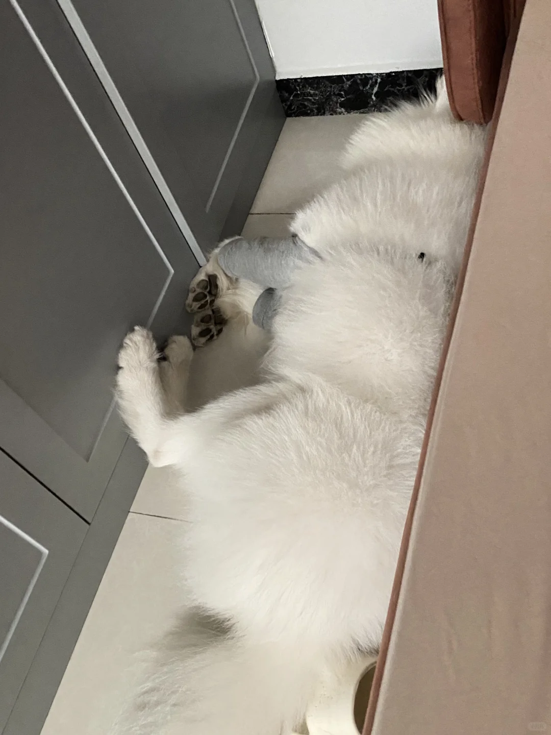 这是什么睡姿？