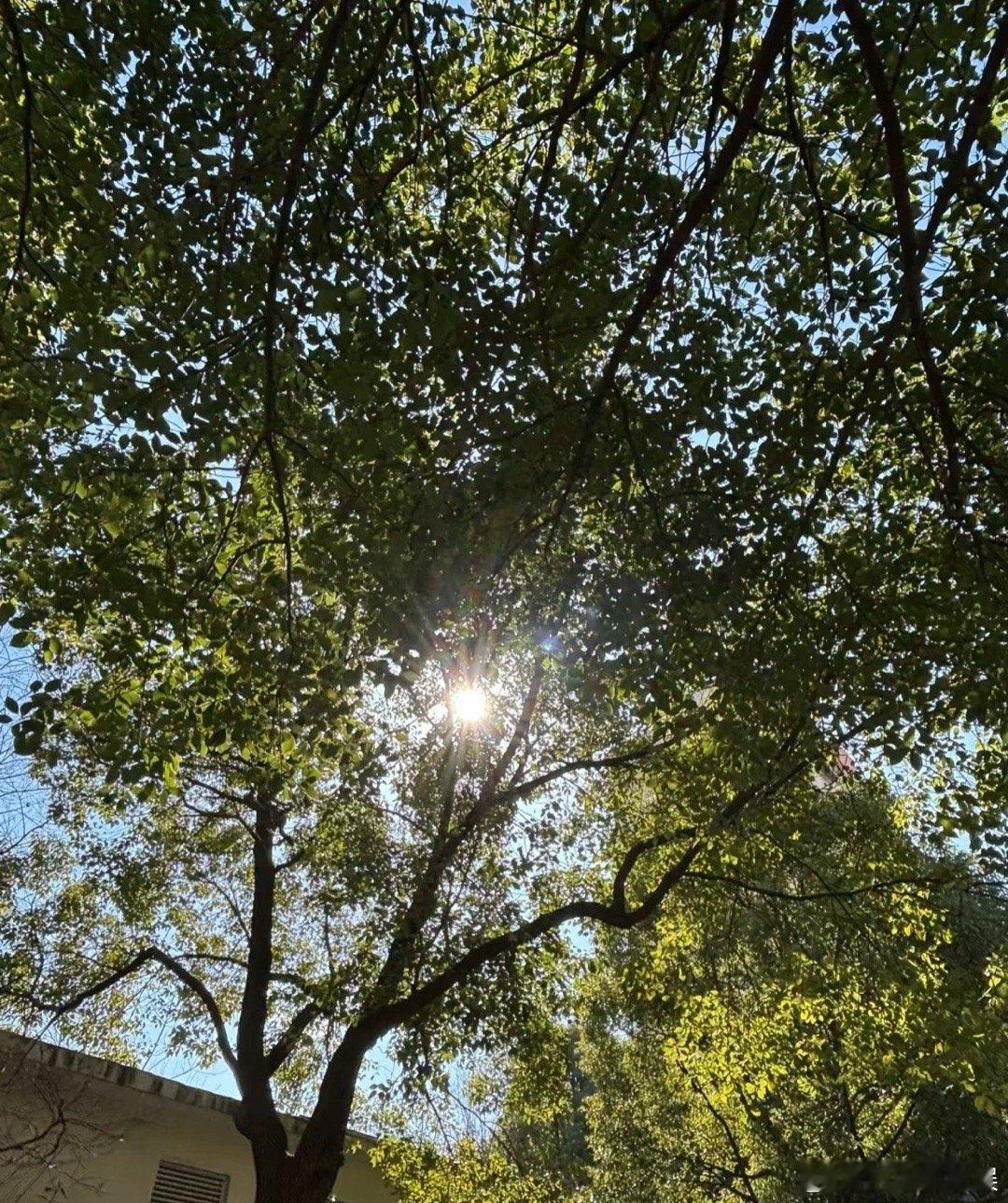 永远不要只看见前方路途遥远 而忘了从前的自己坚持了多久才走到这里。. ​​​