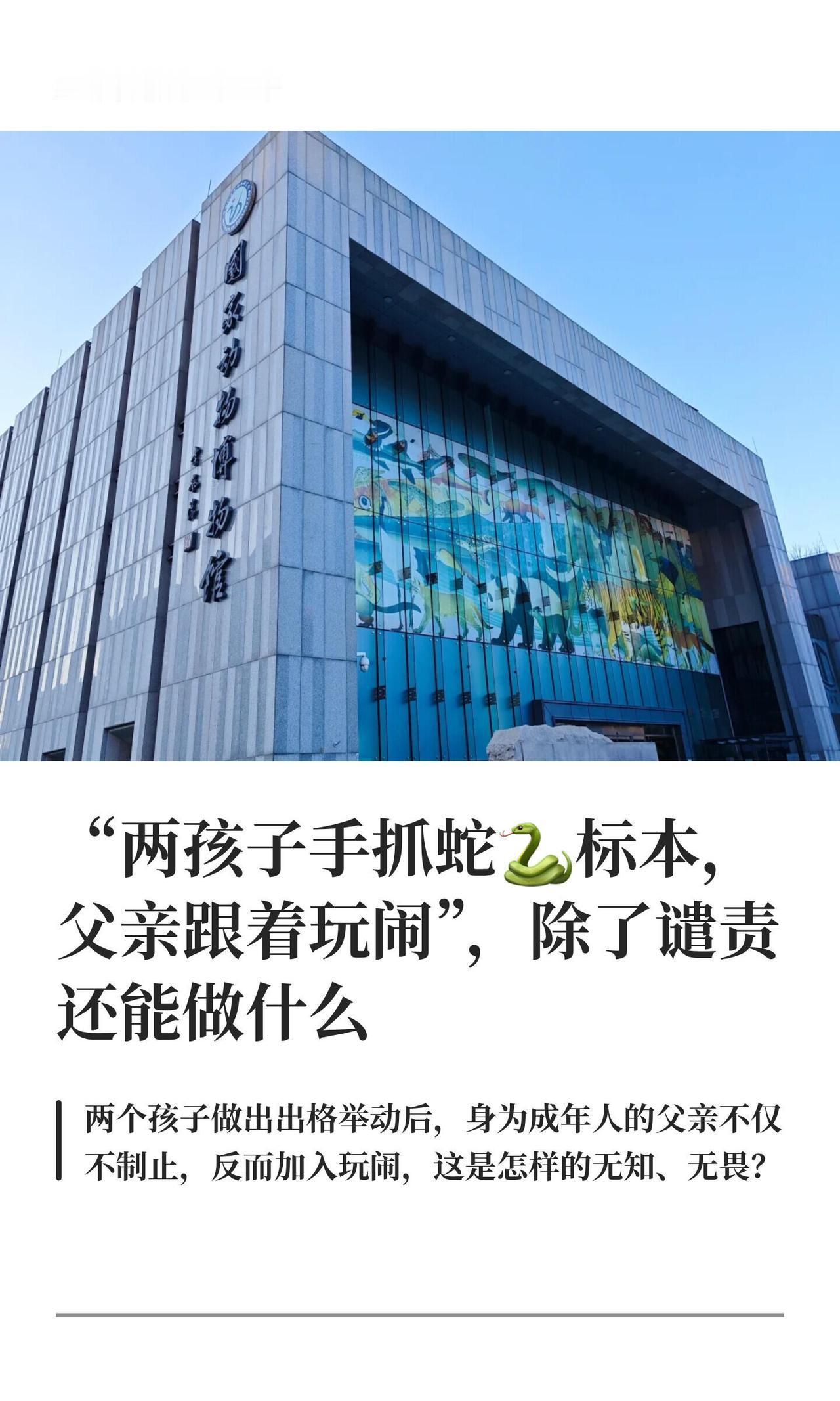 8月28号，国家动物博物馆一层濒危动物展厅，俩小孩在舟山眼镜蛇和莽山原矛头蝮标本