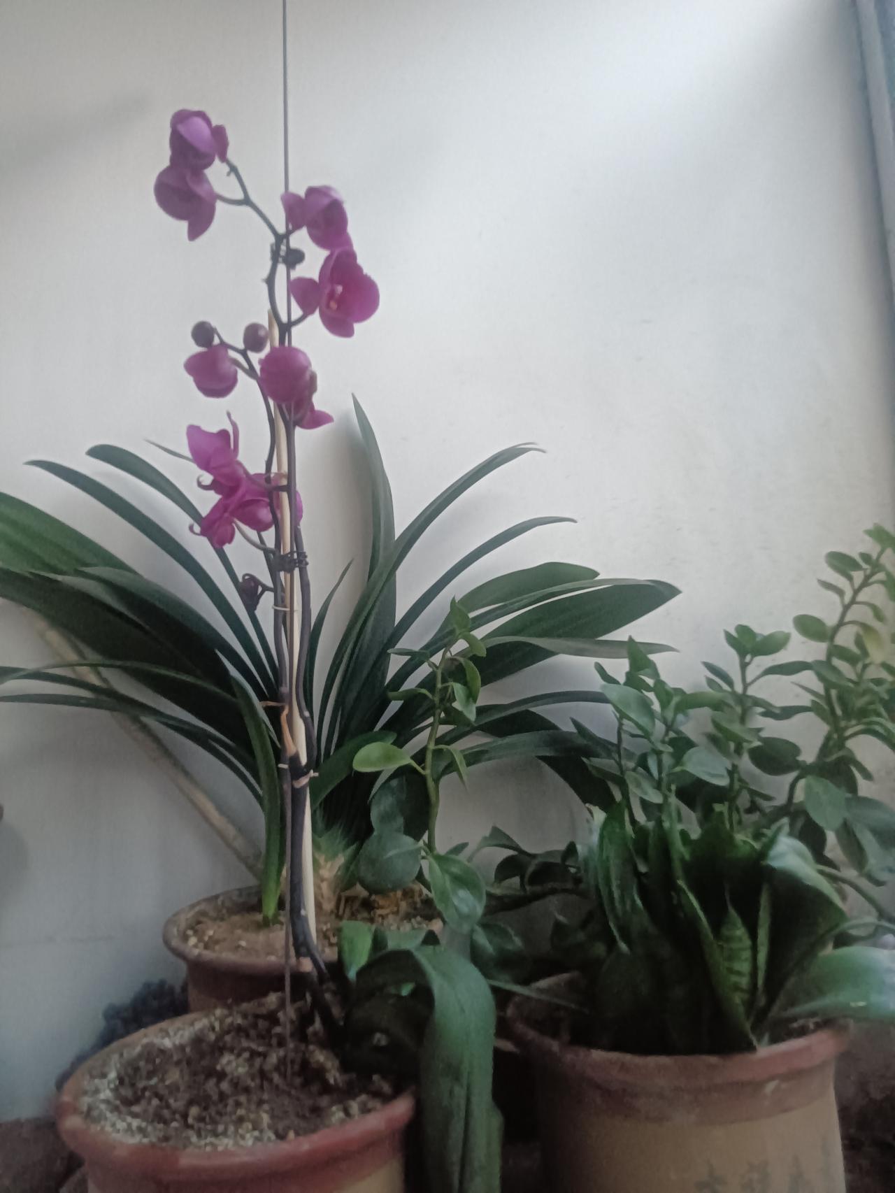 莫与傻子争对错
文/李兴伟
别人把你看成傻，
你却脸上绽朵花。
早晚干活不嫌累，