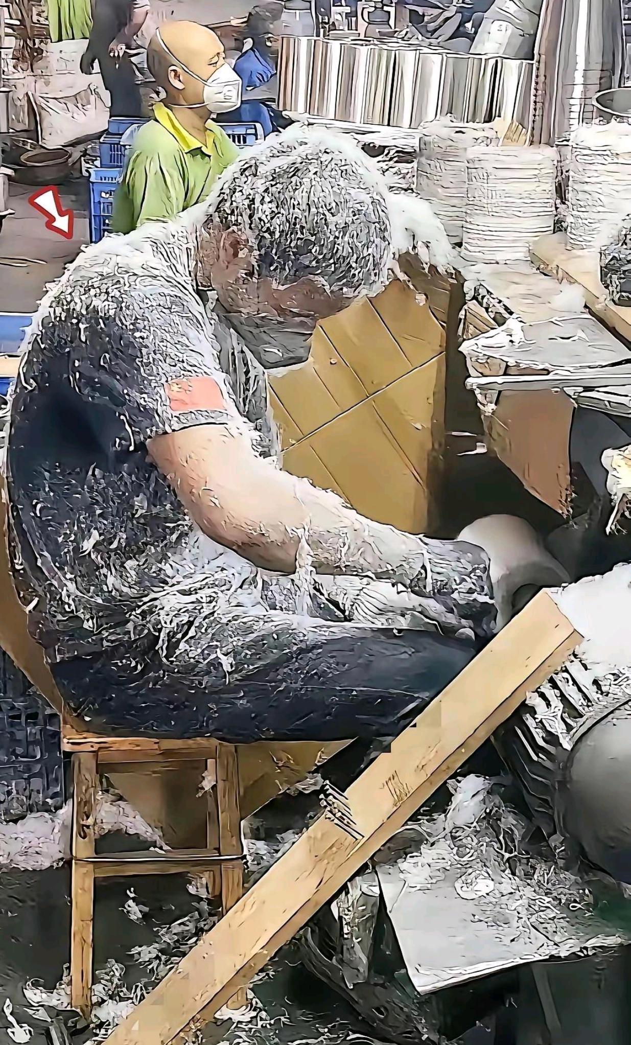 为什么要好好努力读书，看看这个就明白了