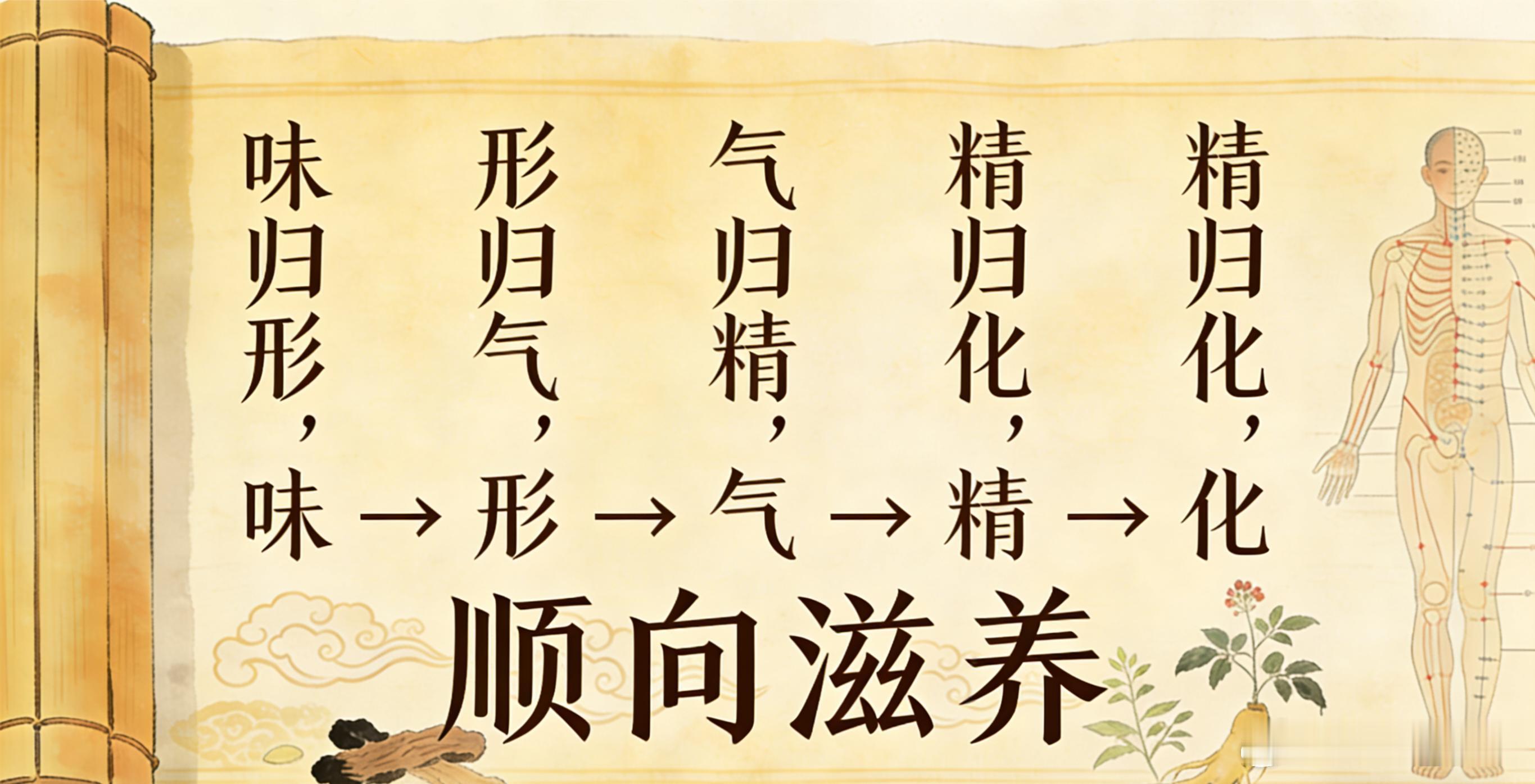 《内经》原文：味归形，形归气，气归精，精归化一、经文出处与总纲出自《素问·阴阳应