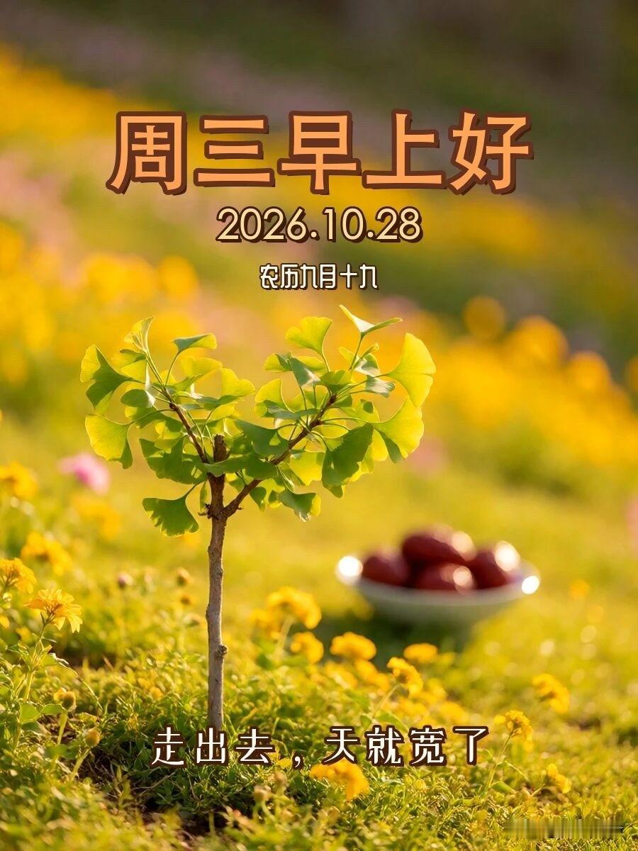 🍂²⁰²⁶/₁₀.₂₈ ᵕ̈ 周三早安｜万事顺意☕️🍞🍒🍑
暮秋清晨，风