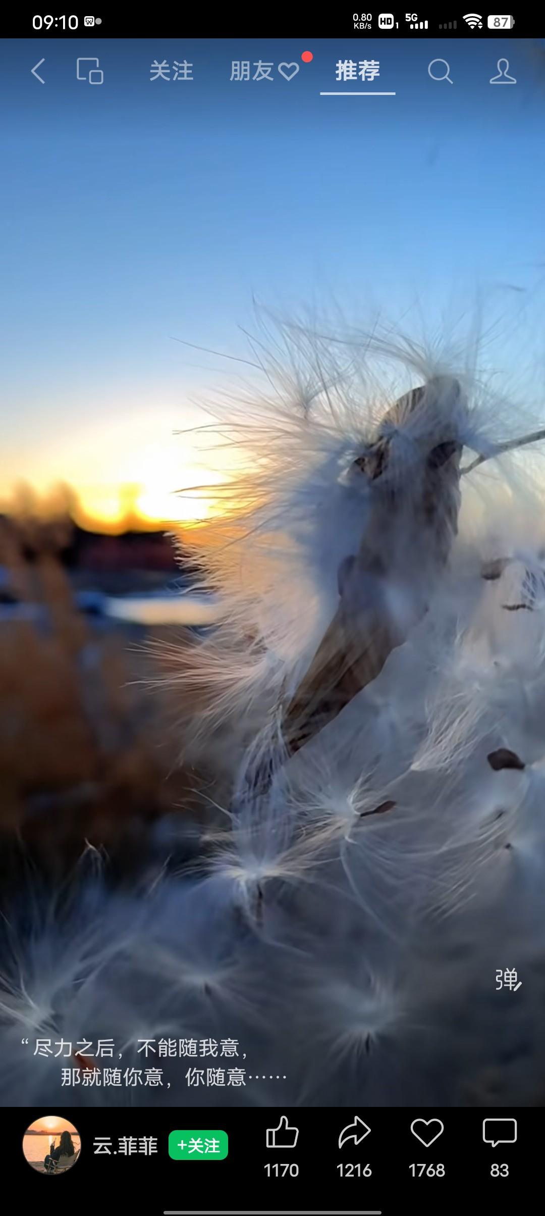 两个妈妈却各有不同，为要不要留下那个没出世的孩子大打出手。
33岁的孕妈妈小杨，