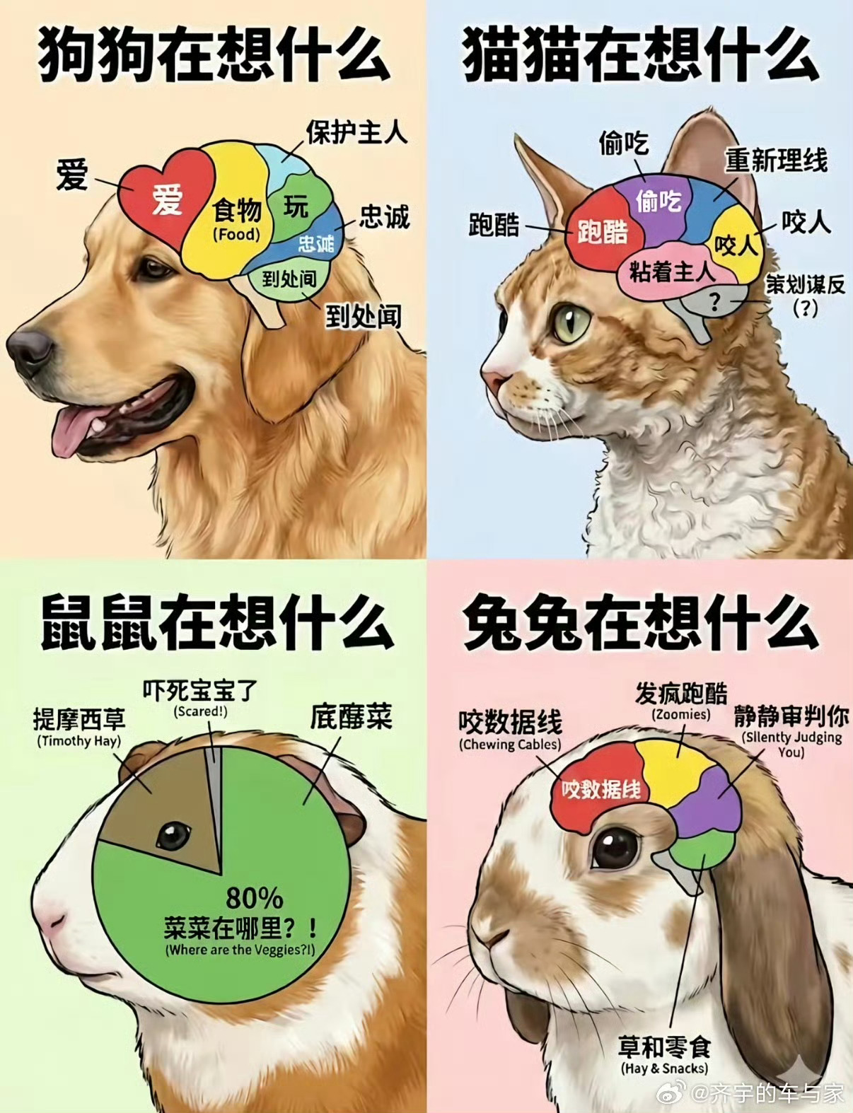 二手油车价格崩盘油车才崩那点就算崩盘了，那俺们纯电车年年发新款代代更便宜咋办，2