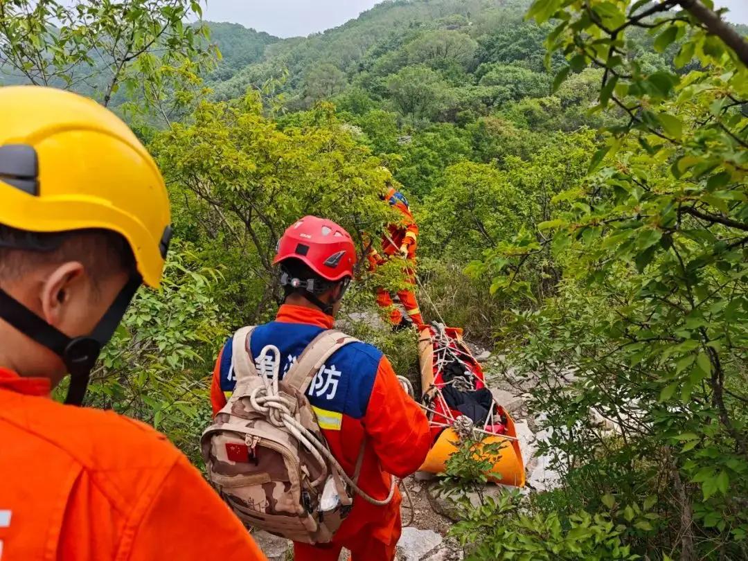 《离谱！女游客扭脚拒消防员触碰，5人抬下山累瘫，网友炸锅》

这件事看着又气又好
