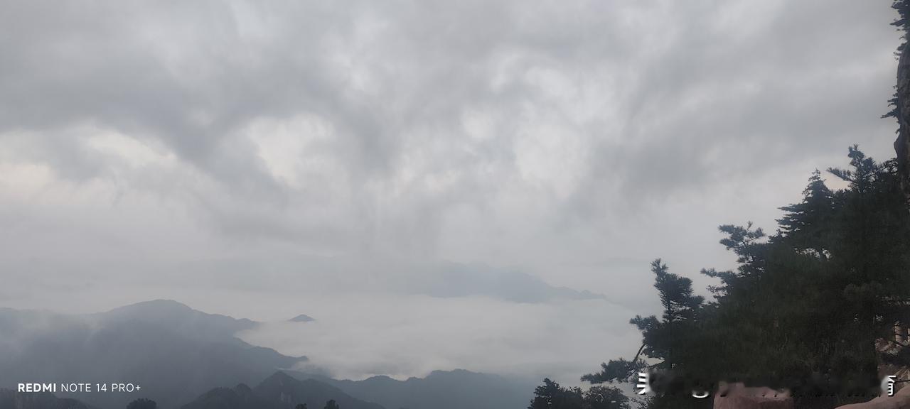 老师们的教师节愿望：
1 放一天假。
2  发钱或者礼物。
3 把欠的班主任费、