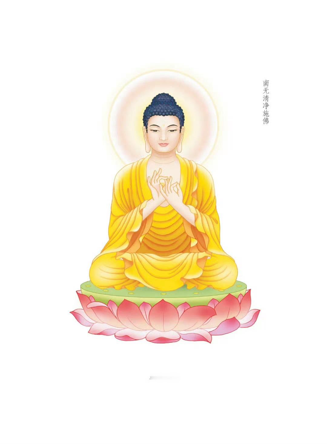 晨起礼佛 顶礼三十五佛之南无清净施佛[祈祷]转发分享，点赞祈福，祈愿吉祥自在！顺