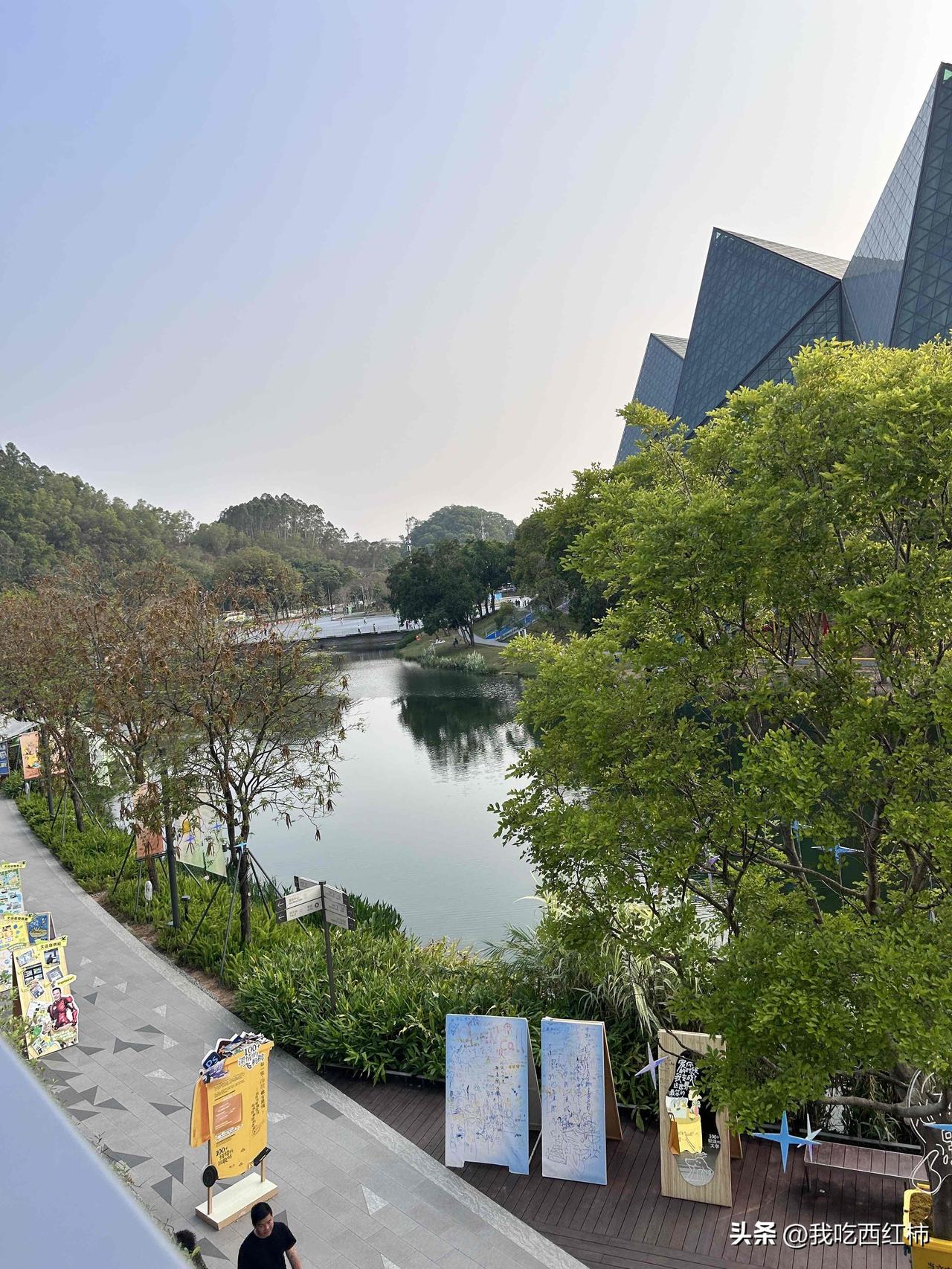 深圳失业的好处
真的有逛不完的公园，其中还有很多靠海的。特别是这个季节，天气不冷