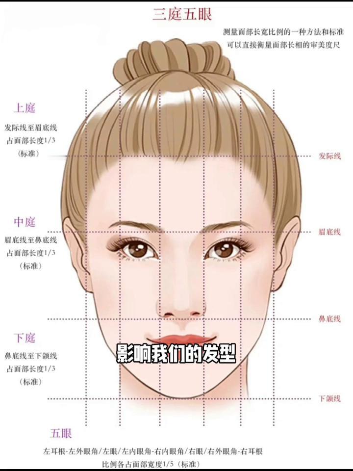 脸型与发型之颅顶。
有粉丝问我什么样的脸型适合什么样的发型？于是前几天我讲了脸型