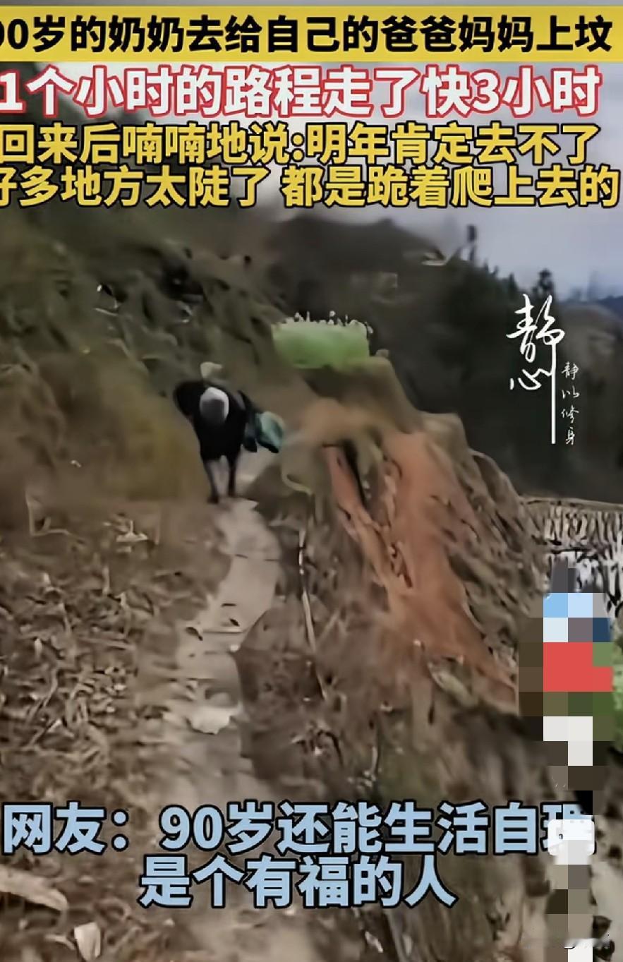 感动啊。
90岁奶奶爬山越岭走了3个小时去给自己的爸爸妈妈上坟。
明明一个小时就