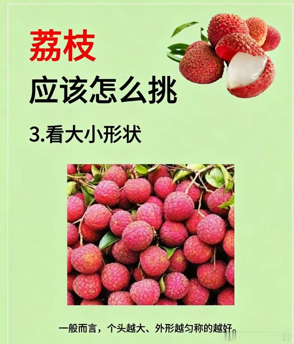 离树不到10秒的活荔枝一、荔枝不分“活果、死果”，只有新鲜/不新鲜水果没有死活区