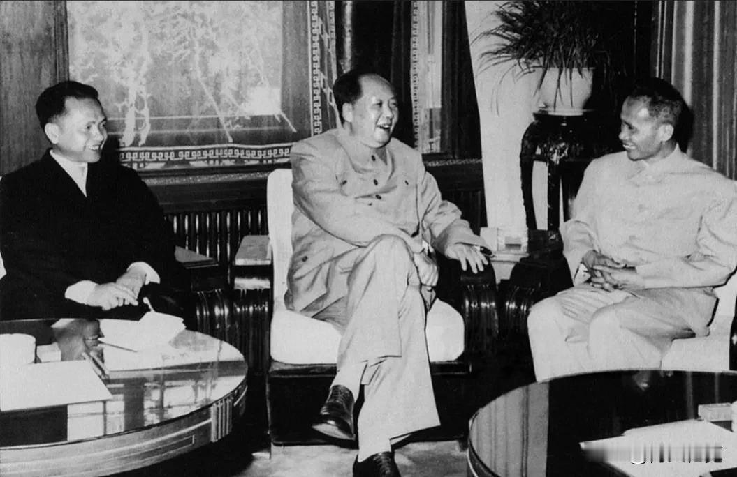 1967 年 4 月 11 日下午，毛泽东主席在人民大会堂福建厅接见越南访华代表