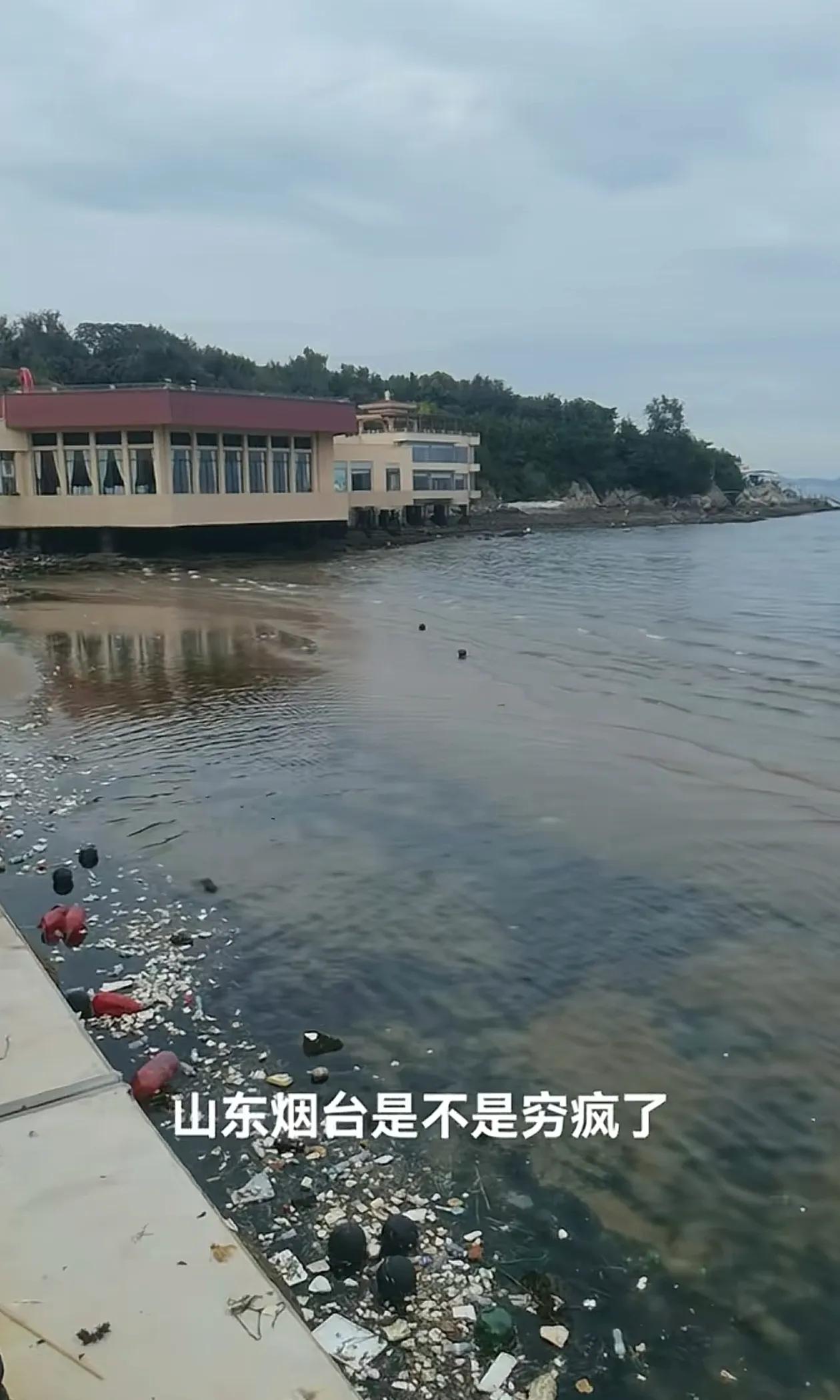 作为土生土长的烟台人首先还是感谢这个河南网友对于烟台山下水域出现垃圾的反馈，也感