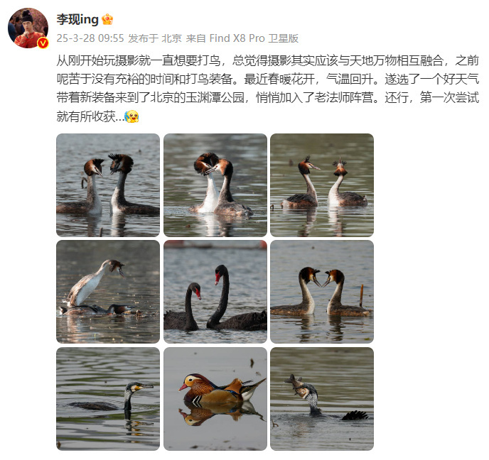 李现打鸟成果李现打鸟收获 分享了打鸟摄影作品！好厉害！ ​​​