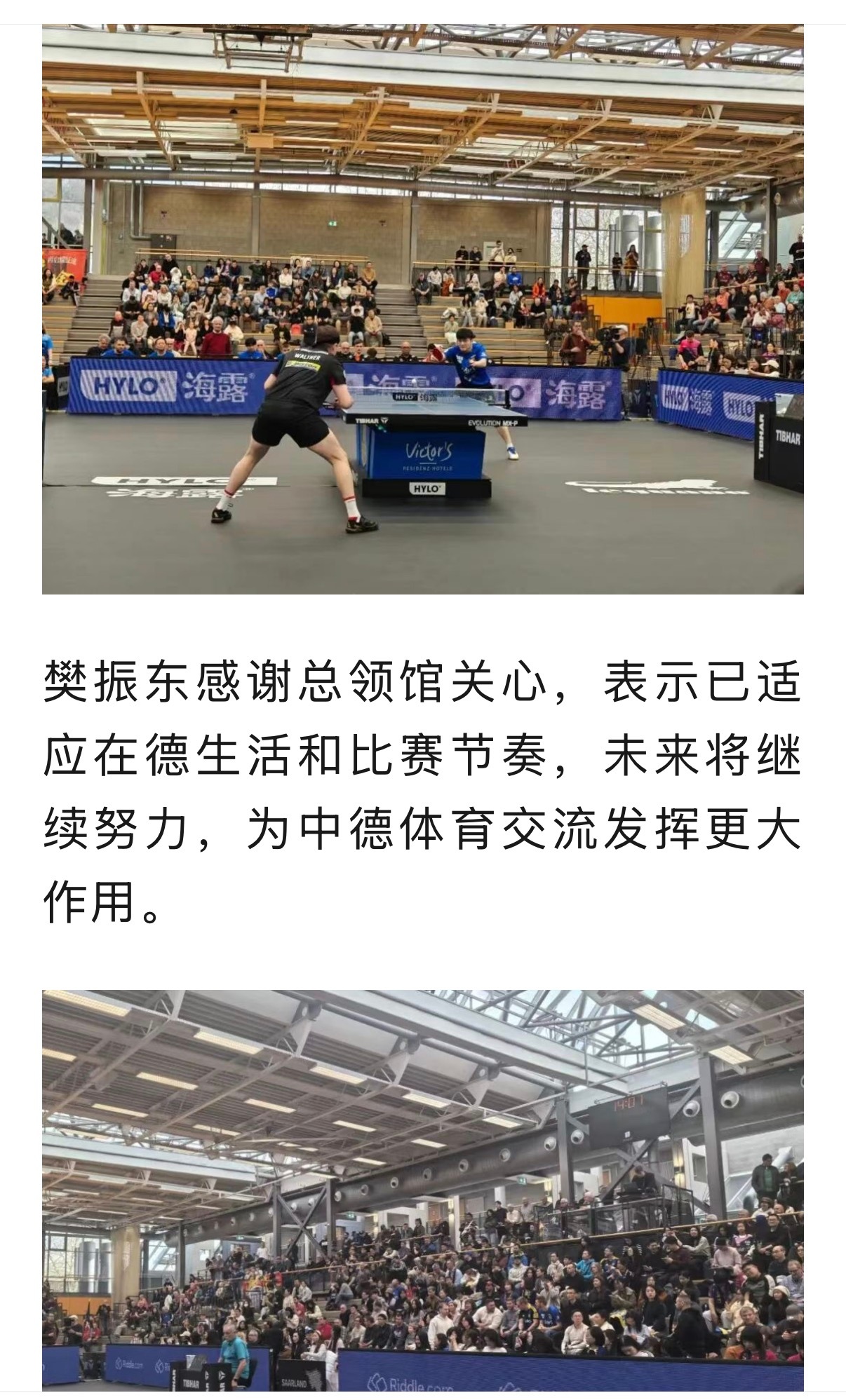 驻法兰克福总领馆发文肯定樊振东 总领馆肯定樊振东的海外价值，希望他持续当好交流桥