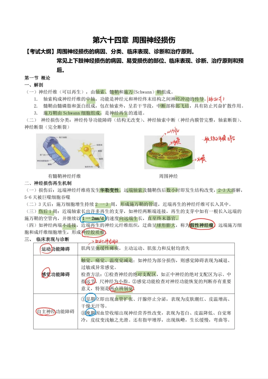 外科学-周围神经损伤