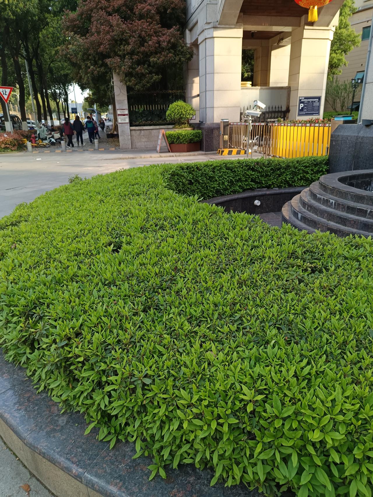 人的生命就是个未知数，什么时候离开人世谁也不知道。有的人昨天还陪家人吃过饭，今天