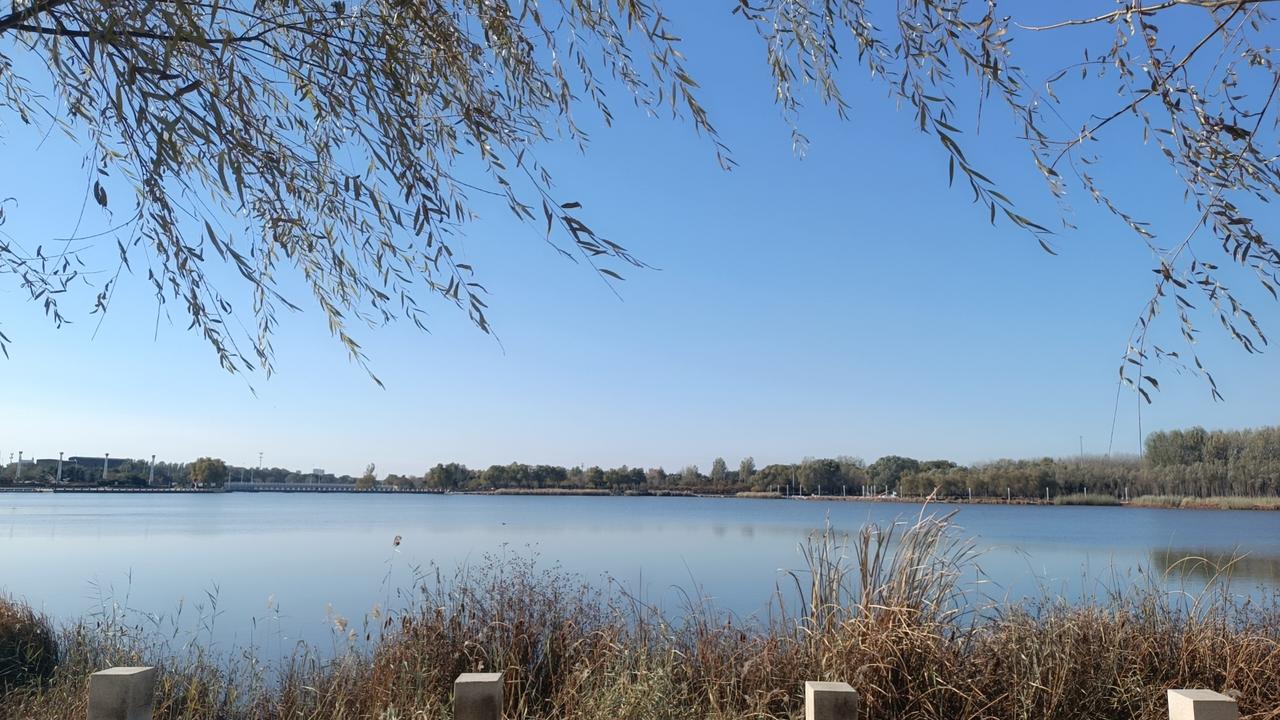 咱俩同龄，我马上退休，毛病还真找上来了！脚跟疼，最近左腿酸疼，血压也不稳，牙也疼