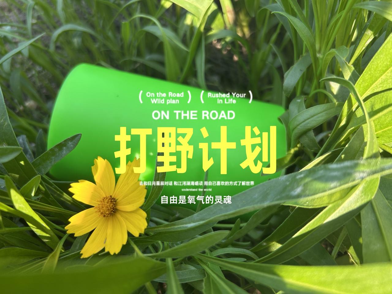莹莹绿色让你在人群中闪耀~陪伴户外的每一次击发，彻底享受弹弓爽感。