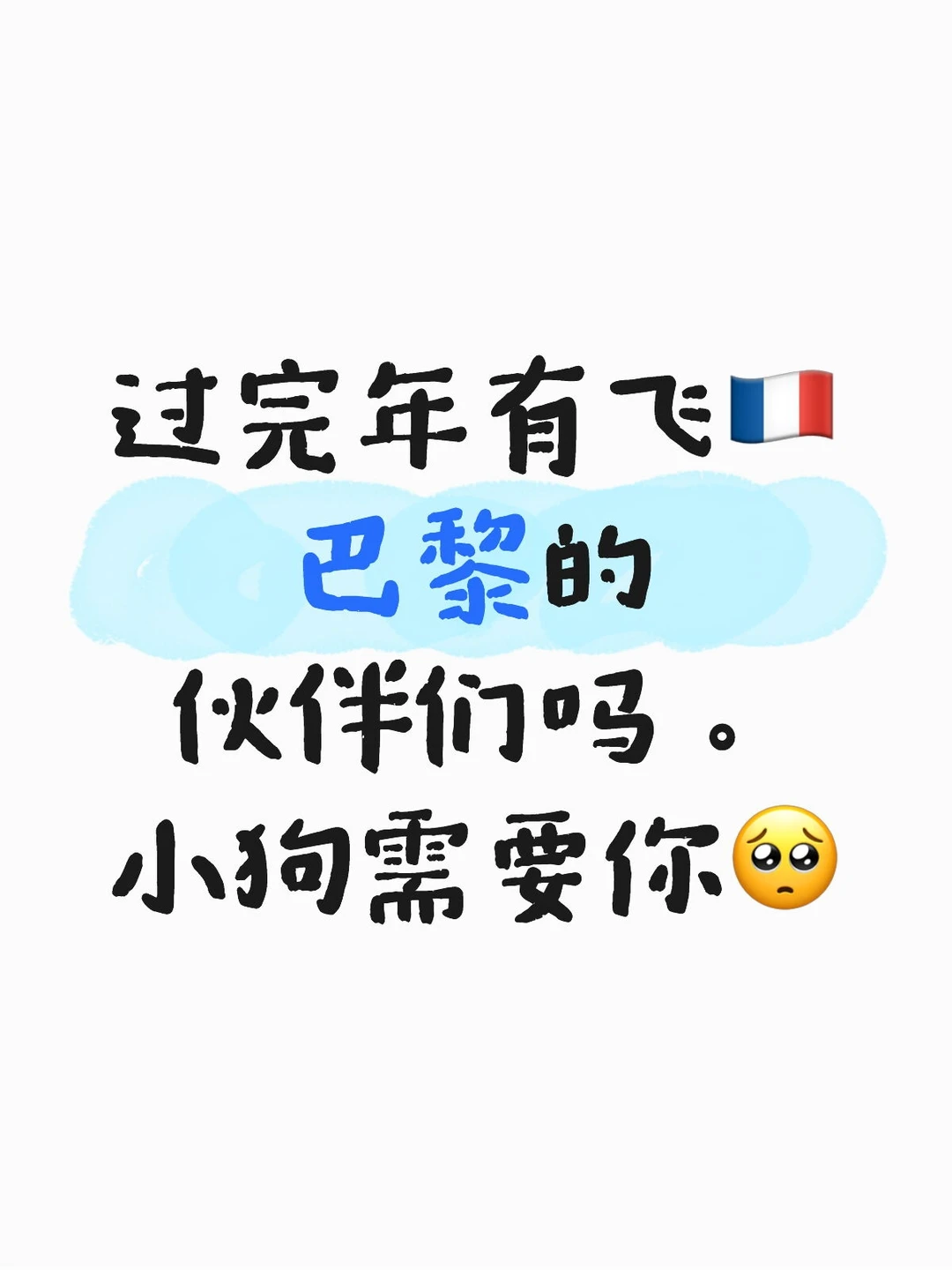 小狗需要一张机票🇫🇷巴黎