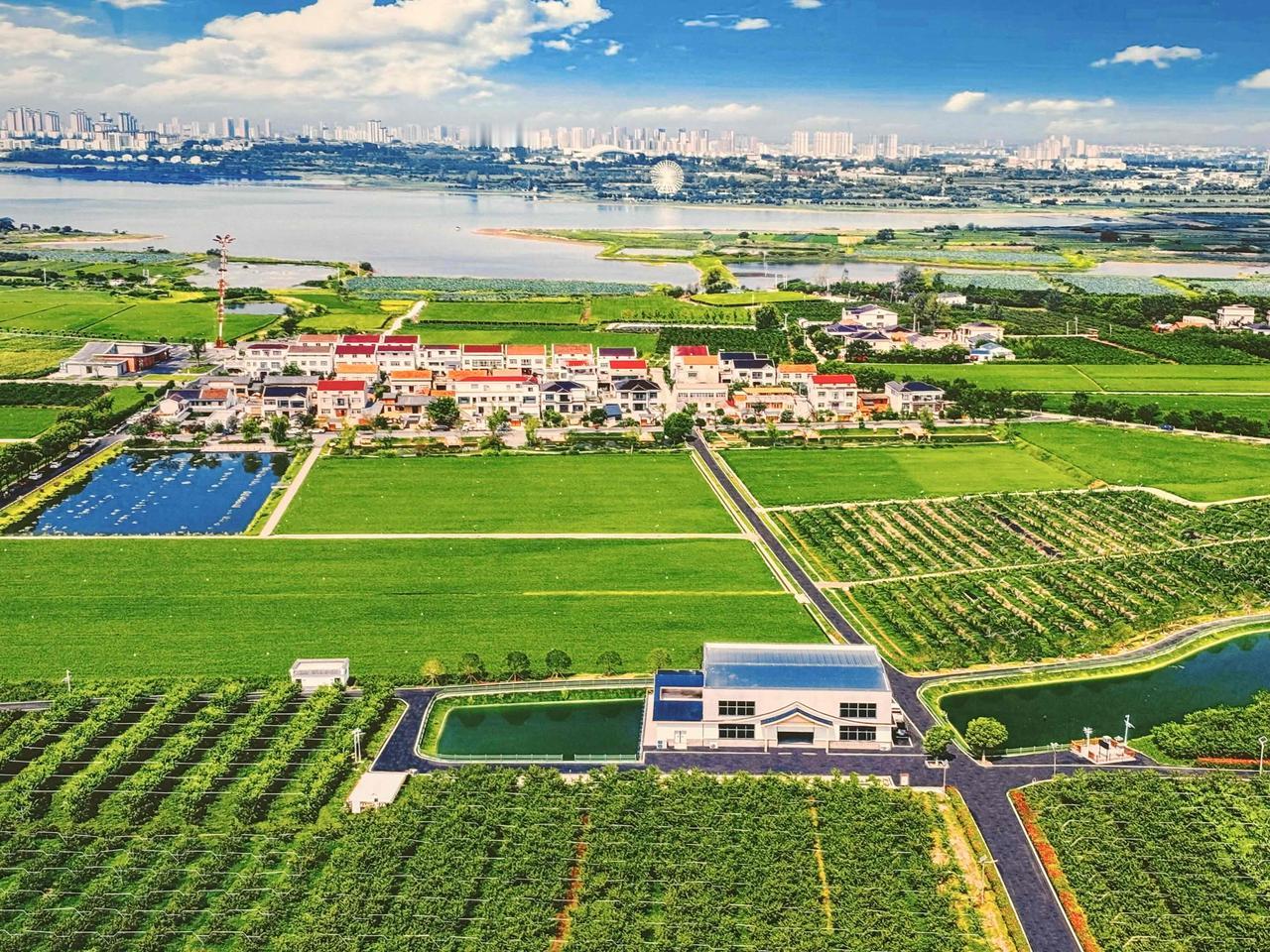 庆丰收，迎美好，颗粒归仓，岁岁丰年！

2026第九届中国农民丰收节（全国主场就