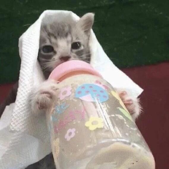 ：我一般都是喝奶 