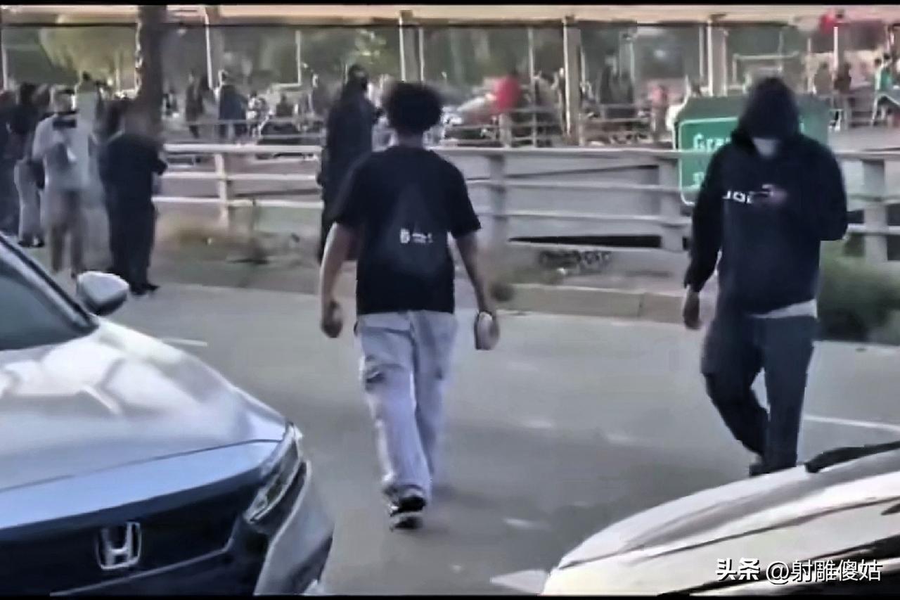 把一个城市发生暴乱，发生警民冲突，说成是“一道美丽风景线的”是美国前议长佩洛西的