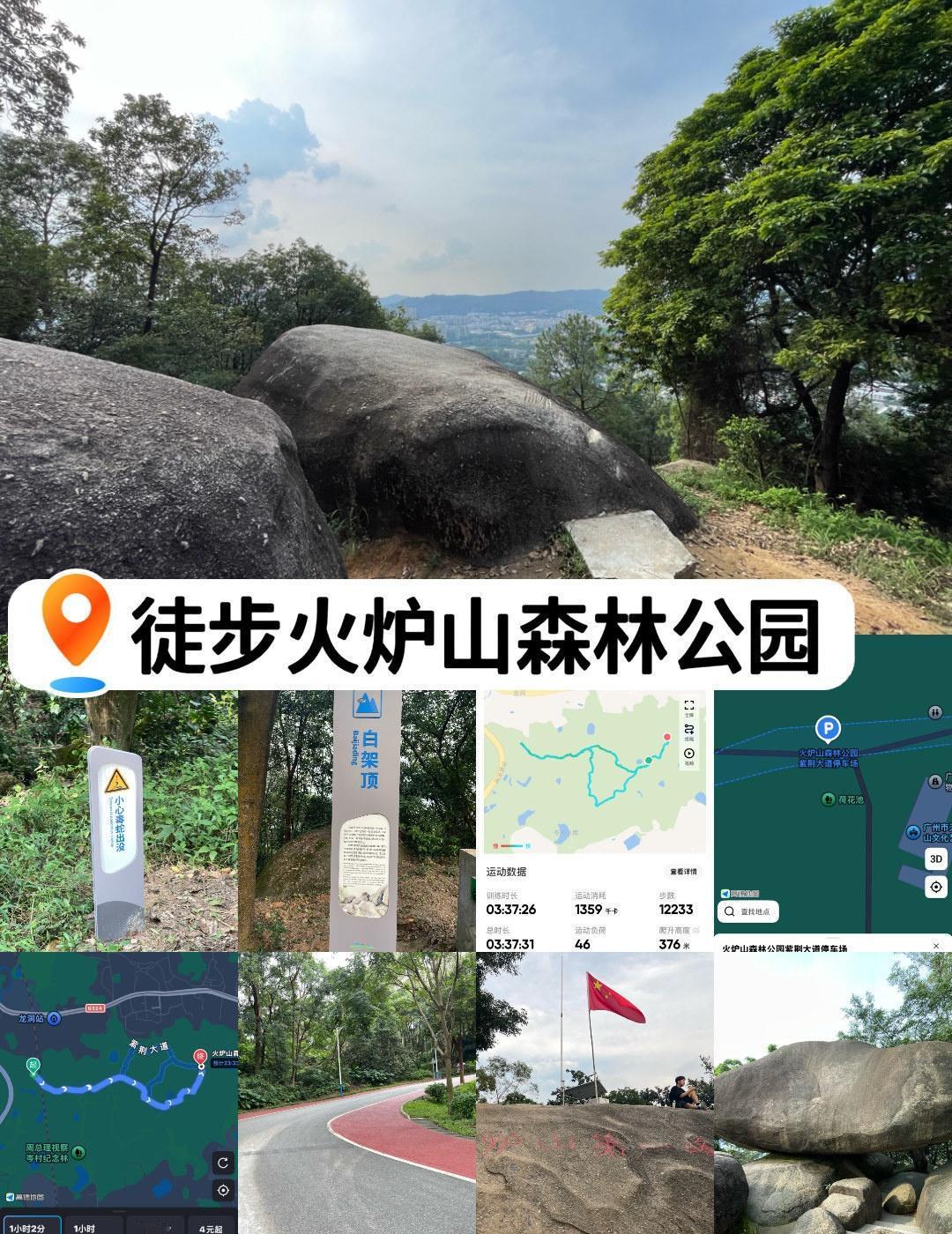 公园主要是步行，不可以骑单车🚲，可以走山路，也有一部分马路可以走，可以开车到景