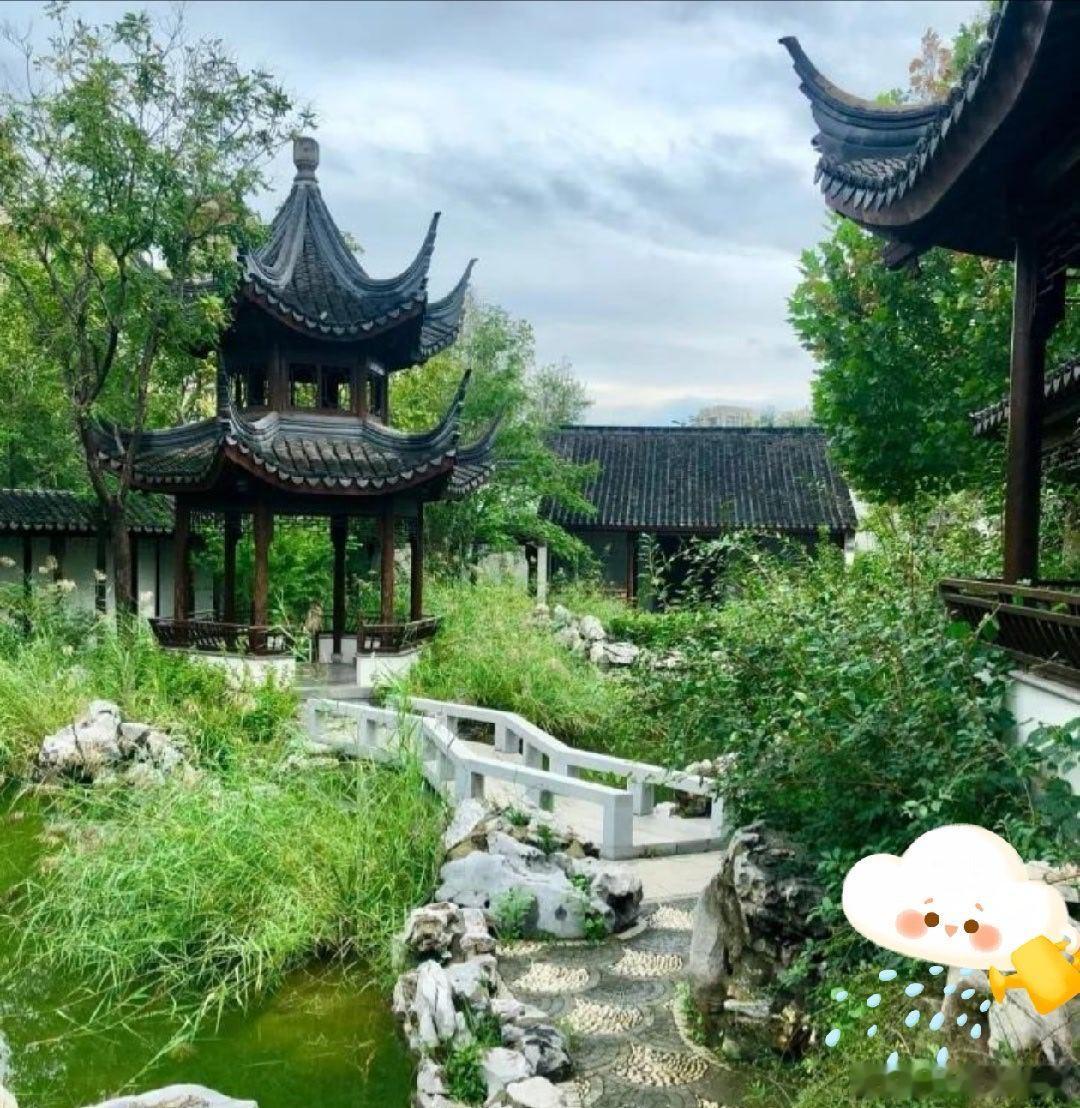 早安       连续阴雨，到位的梅雨季……    就这一刻