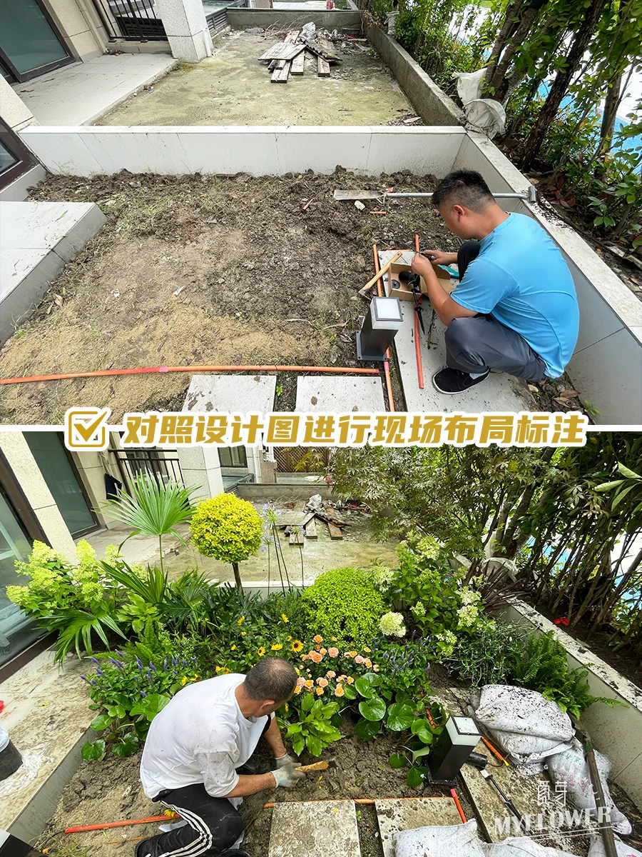 花园改造！庭院施工流程-种植篇