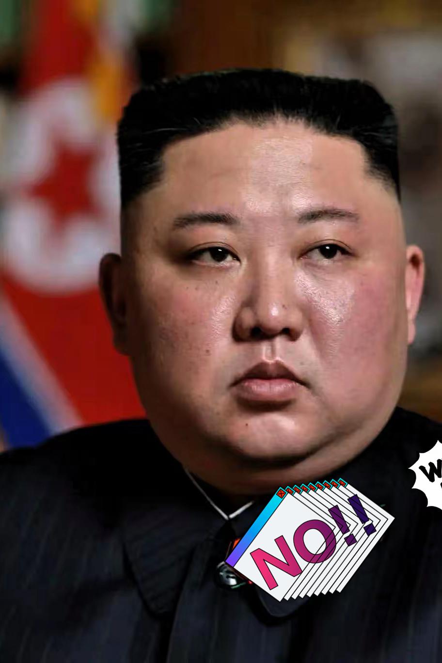 快讯!快讯！

  朝鲜突然宣布了。

11月6日，朝鲜外务省负责美国事务副相金