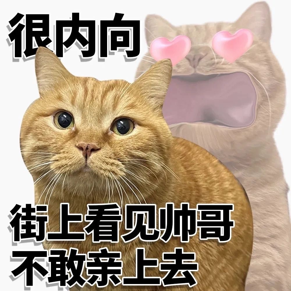 沙雕表情包 ​​​