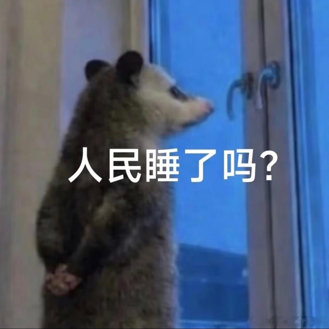 丞磊什么时候发红包追着要啊！丞磊发，白鹿发，下一个轮到谁