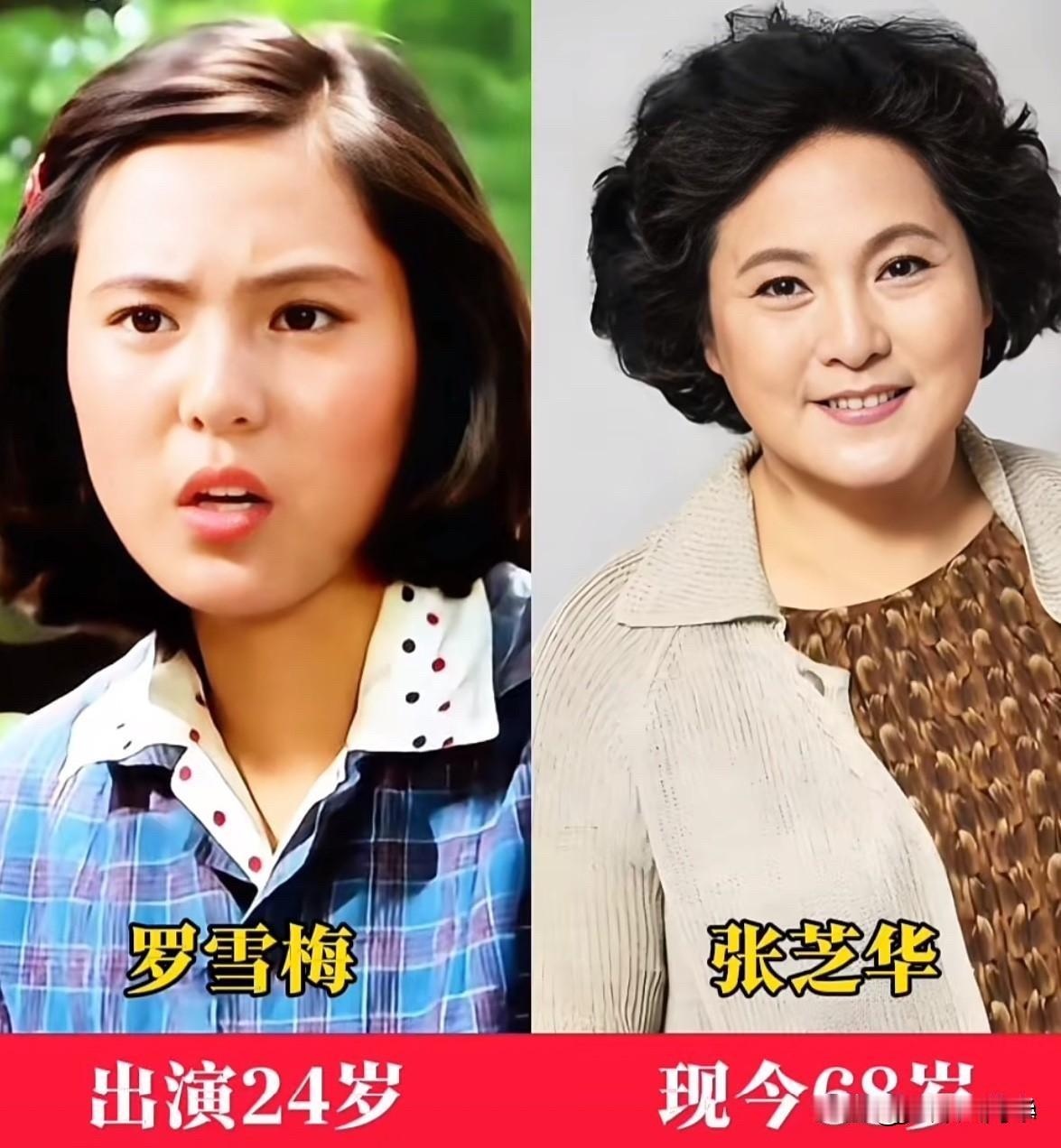 看了《女大当婚》演员今昔，40年后张芝华68岁了，宋忆宁67岁了，但罗雪梅还在