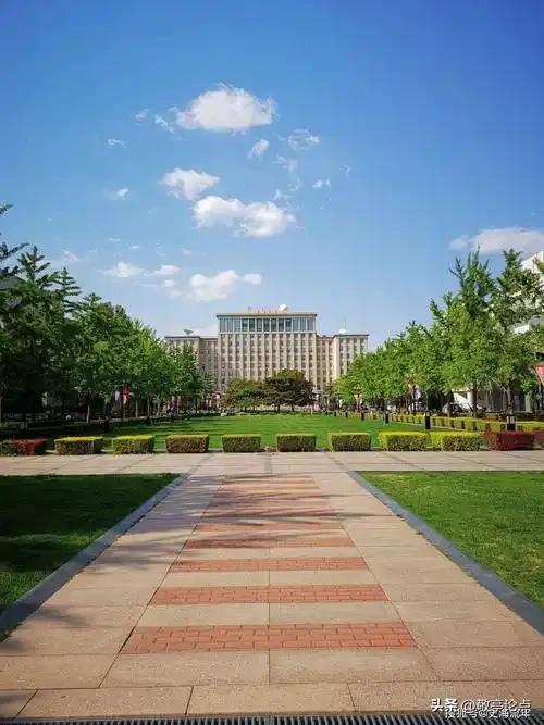 现在和将来，大部分中国低学历男性，将在孤独中度过一生。
       根据教育部