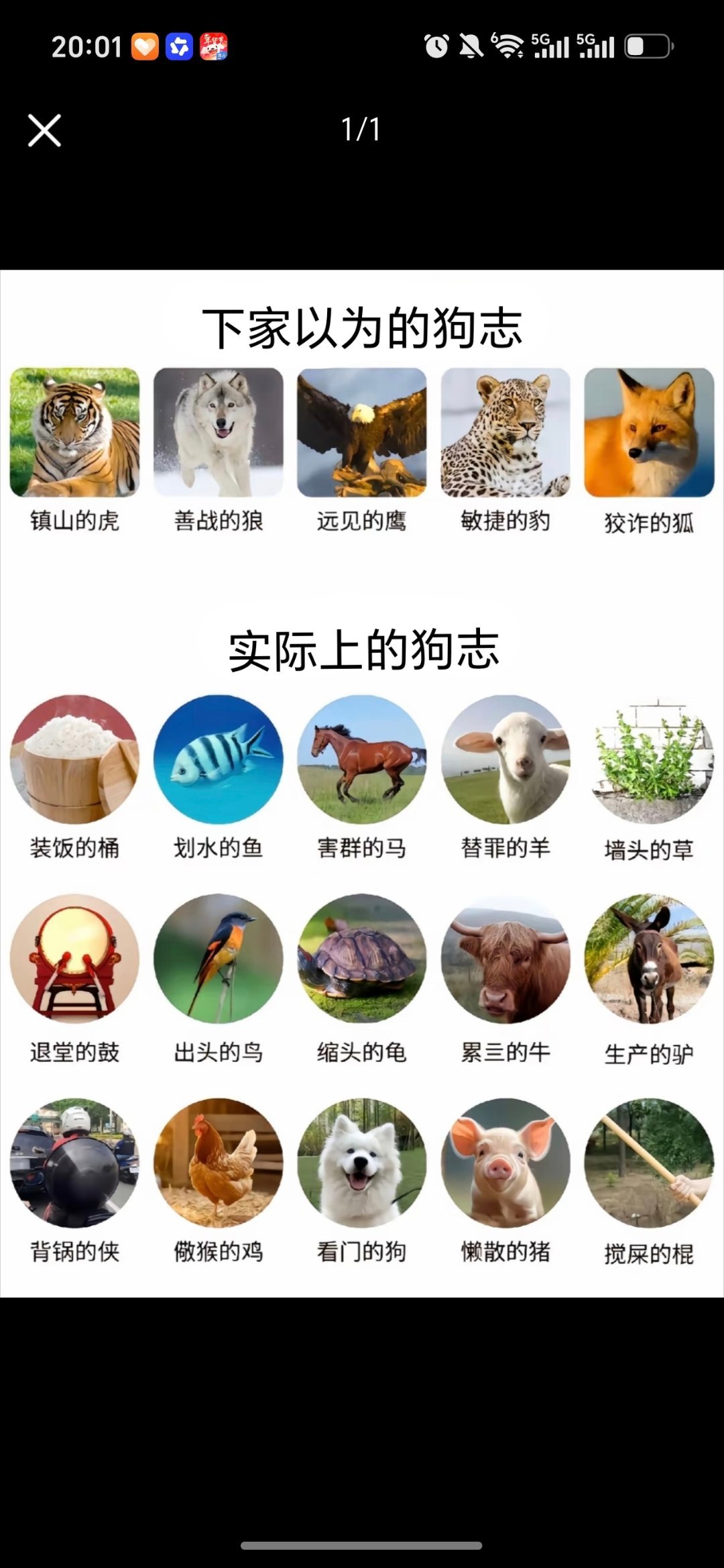 躺赢的志 