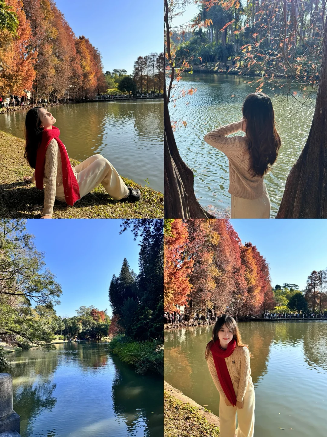 华南植物园｜冬日里的一抹秋🍂