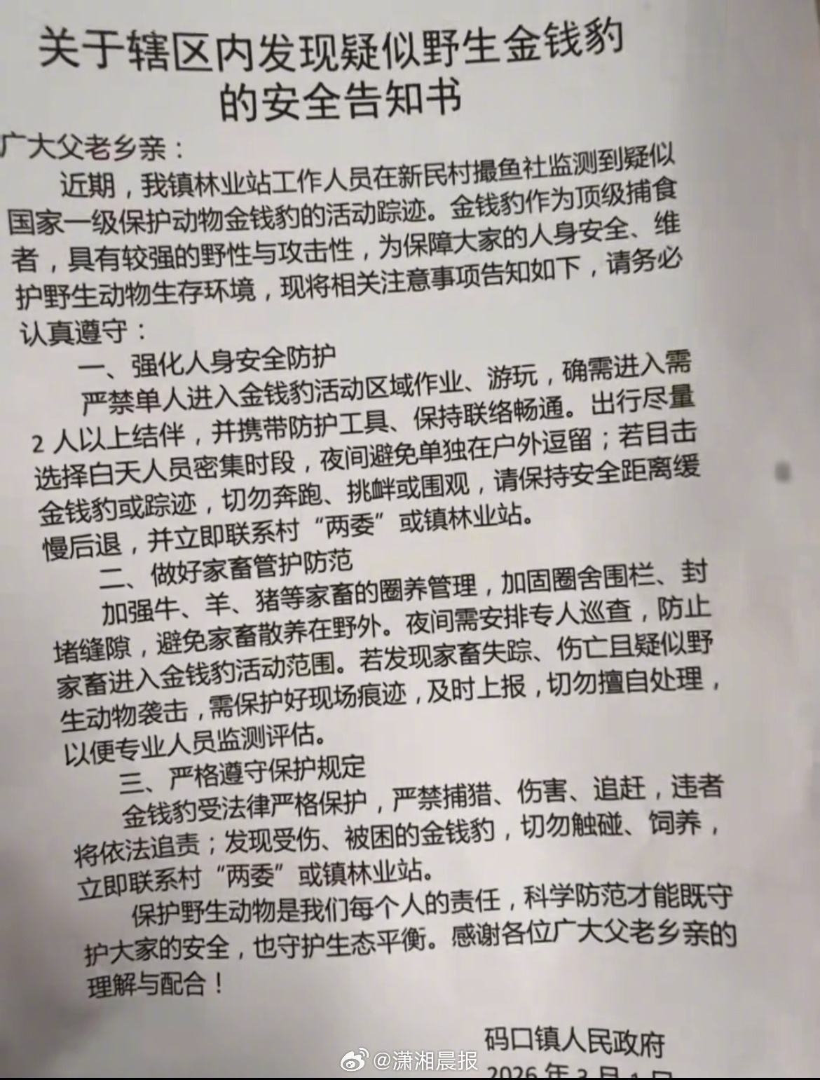 【#云南一地发现疑似金钱豹踪迹#】#镇政府回应发现疑似金钱豹踪迹#3月1日，云南