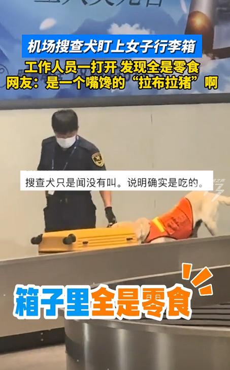 万万没想到！天津，一女子过机场安检时，搜查犬突然盯上她的行李箱，开始疯狂嗅探，工